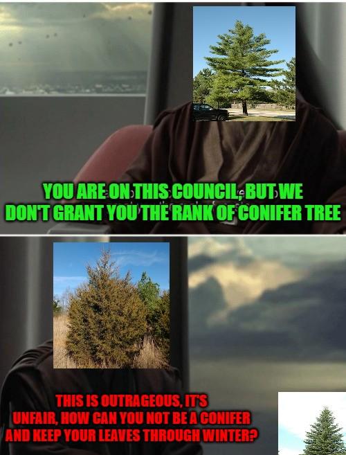 The Botanical Identity Crisis