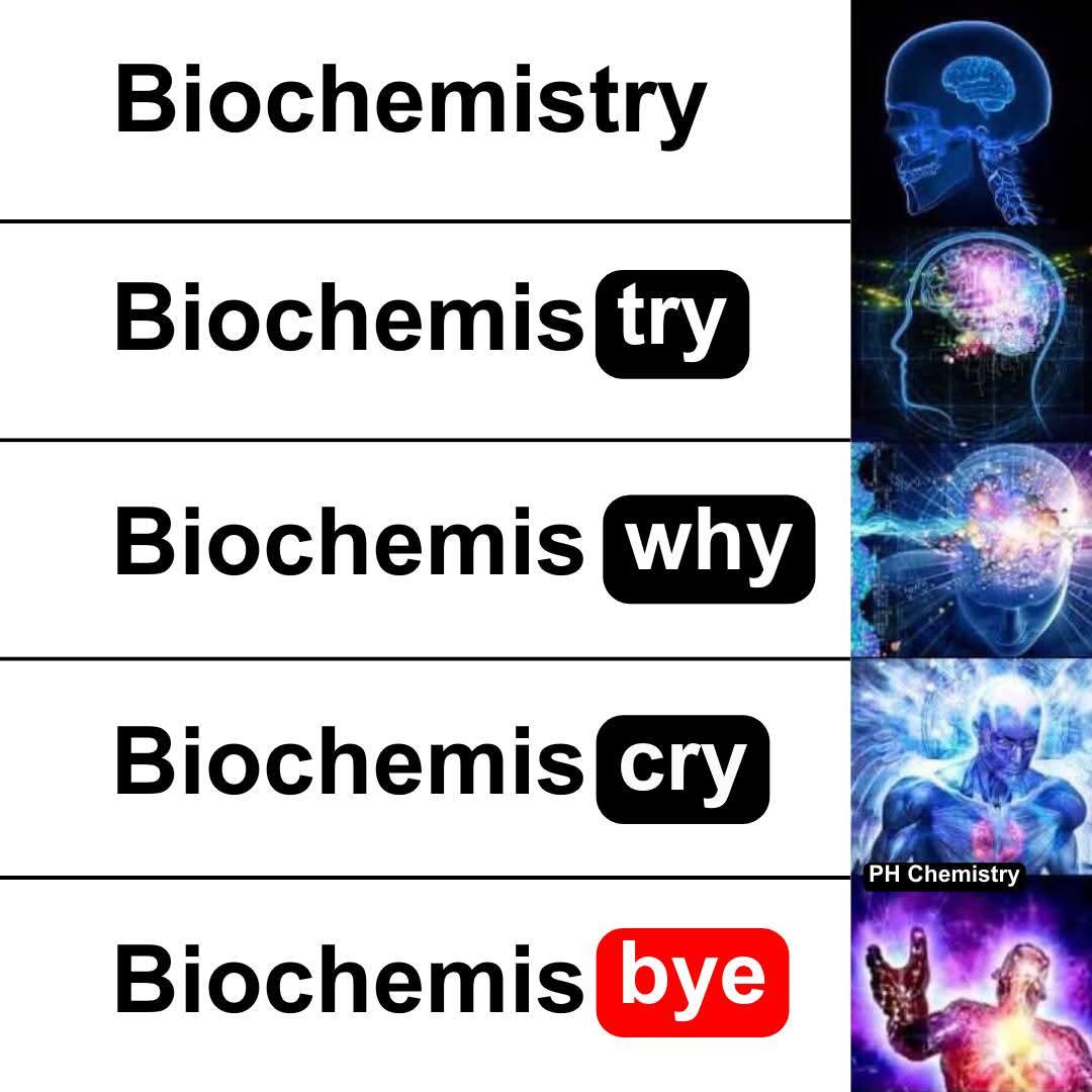 The Five Emotional Stages Of Biochemistry