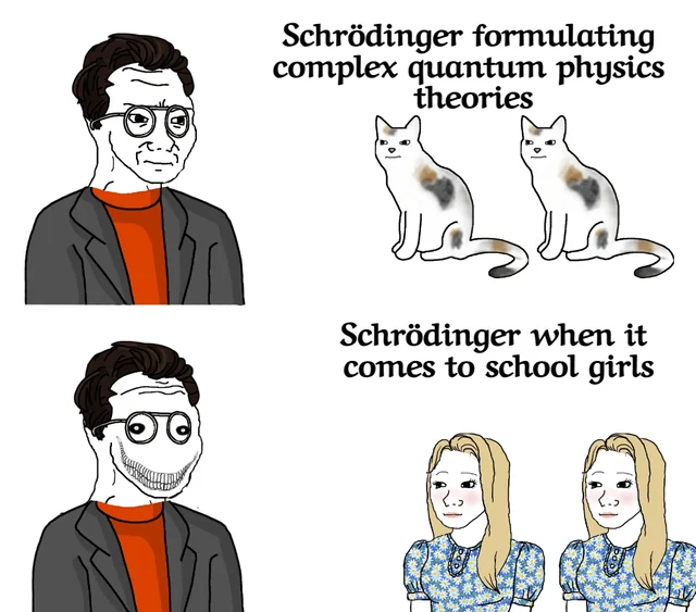 Quantum Ethics: When Schrödinger's Morality Collapsed