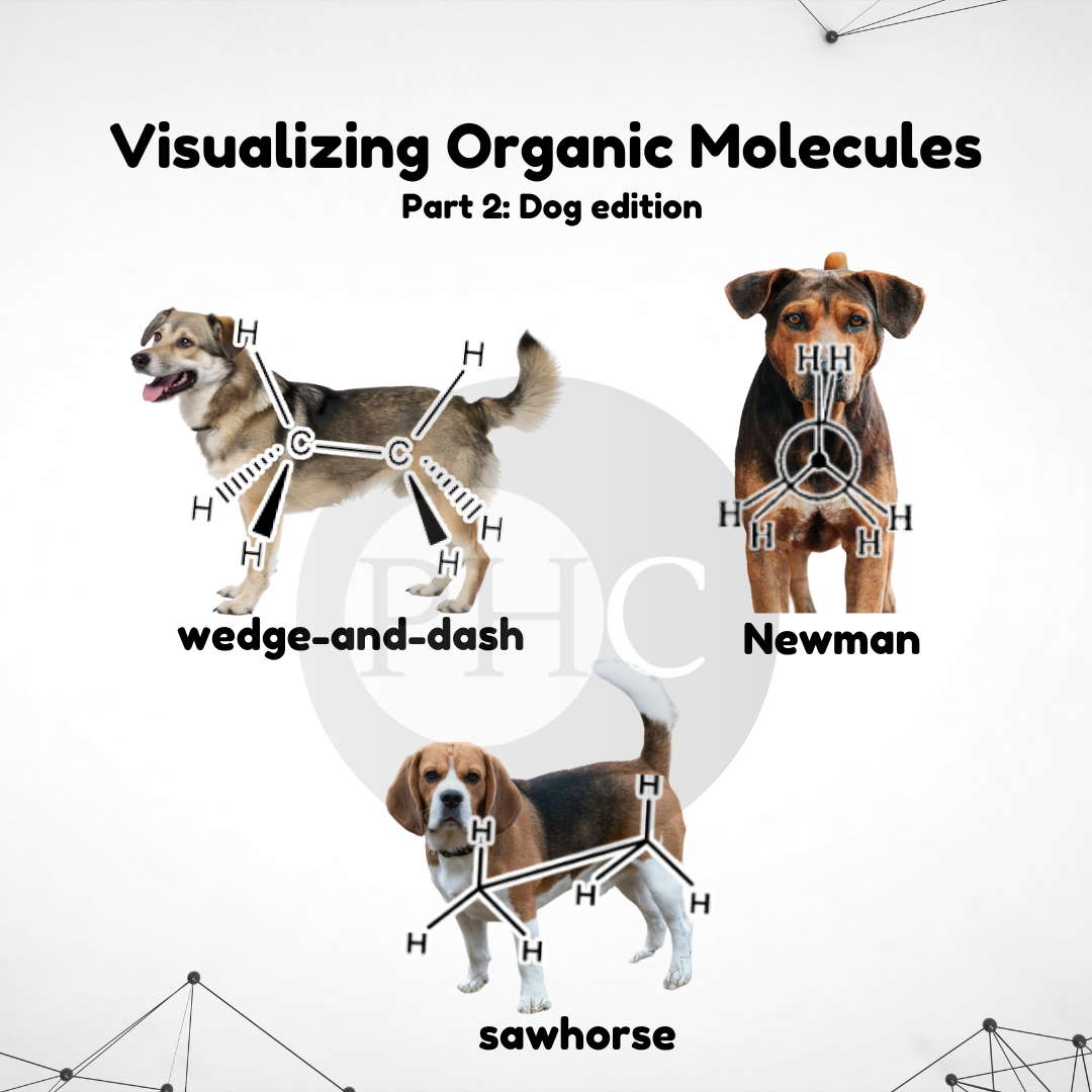 Visualizing Organic Molecules (Part 2: Dog Edition)