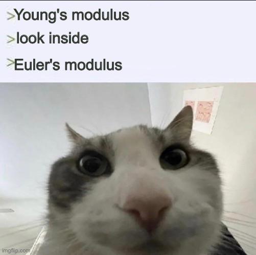 The Elastic Limits Of My Sanity