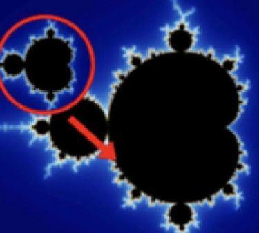 Mandelbrot Spotted In The Wild