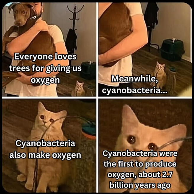Poor Cyano: The Original Oxygen Influencers