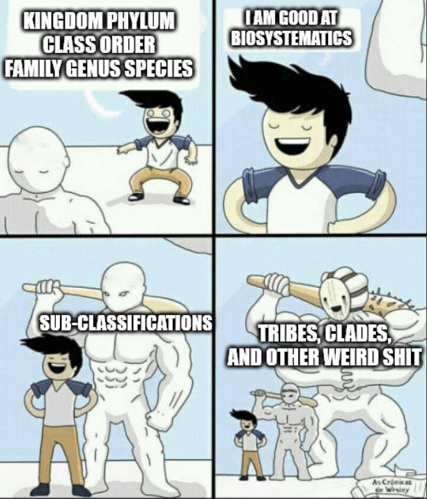 The Taxonomic Rabbit Hole