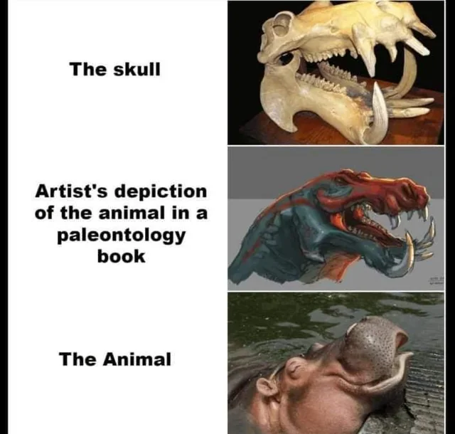 Where Are All The Chubby Dinosaurs At?