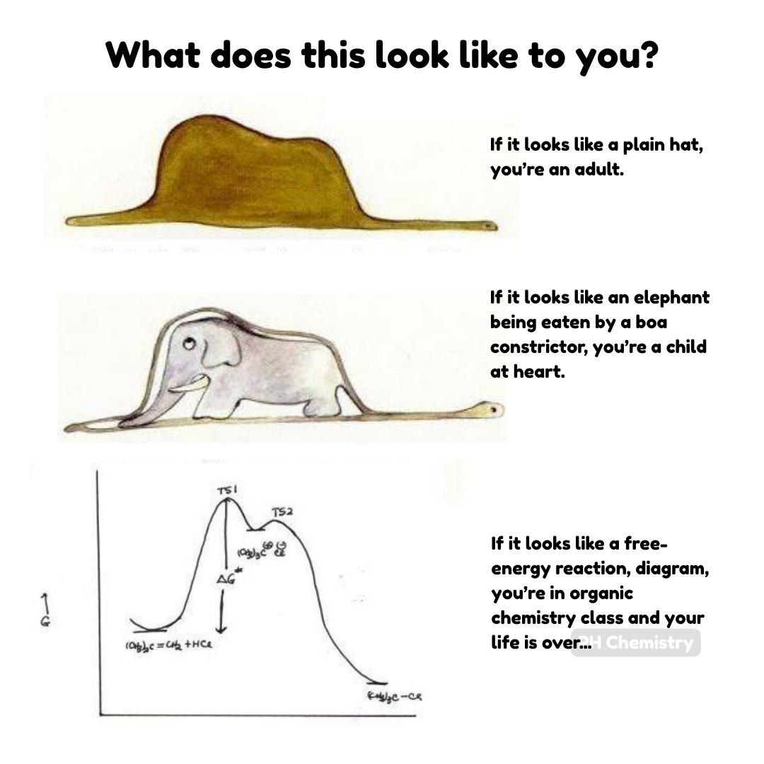 The Three Stages Of Perception