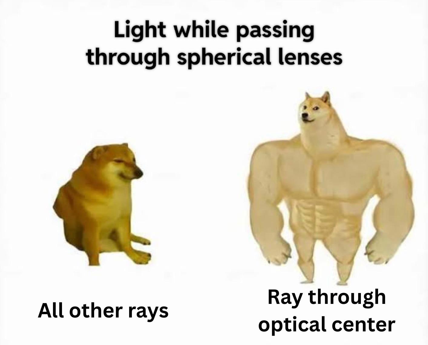 Optical Center: The VIP Lane For Photons