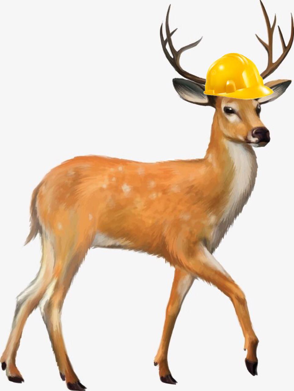 The Engideer