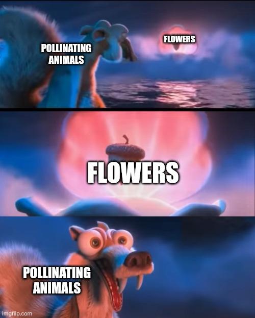 The Great Pollen Delivery Service