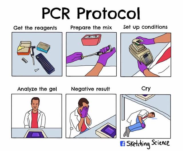 The Real PCR Protocol They Don't Teach You