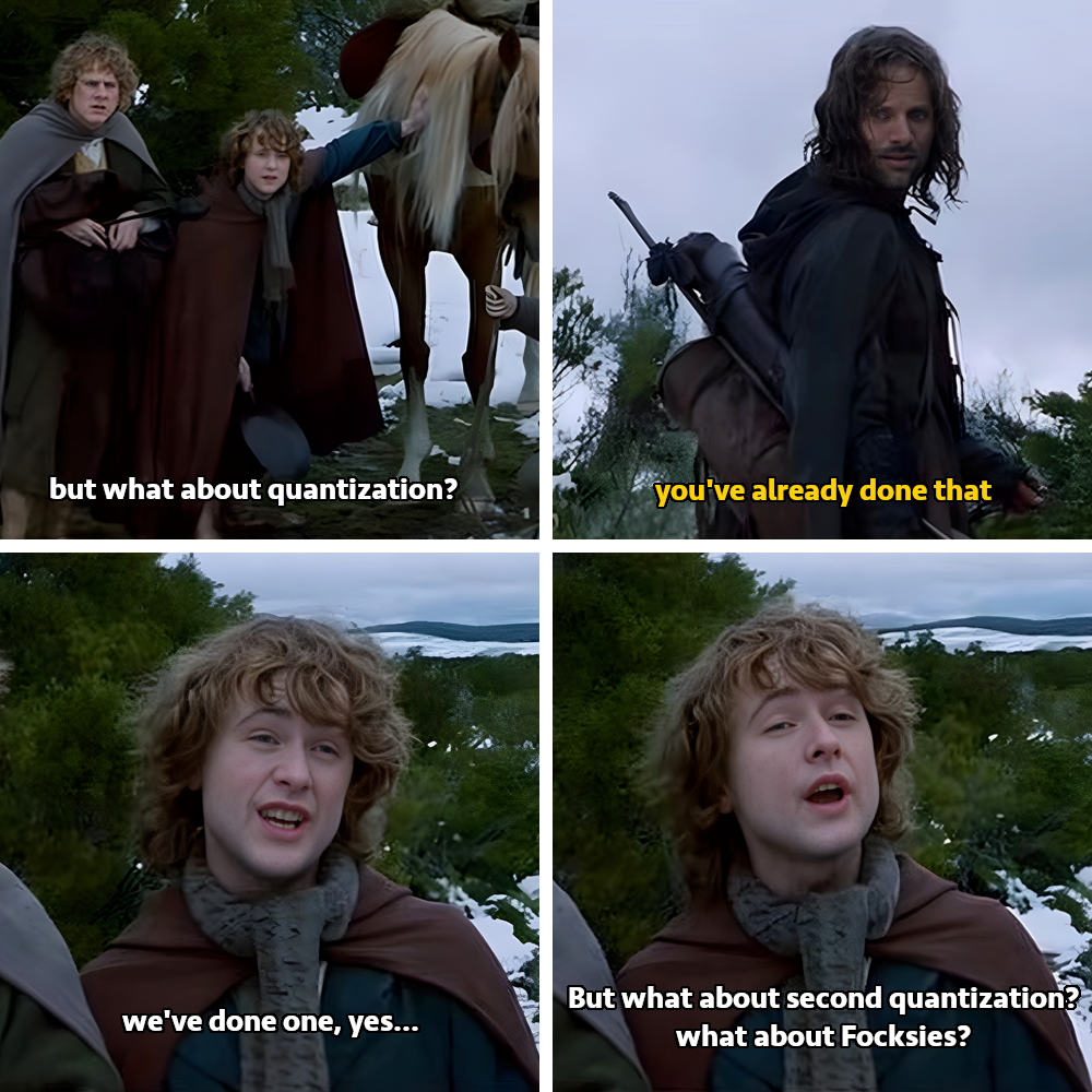 Your Quantum Fields Course Be Like
