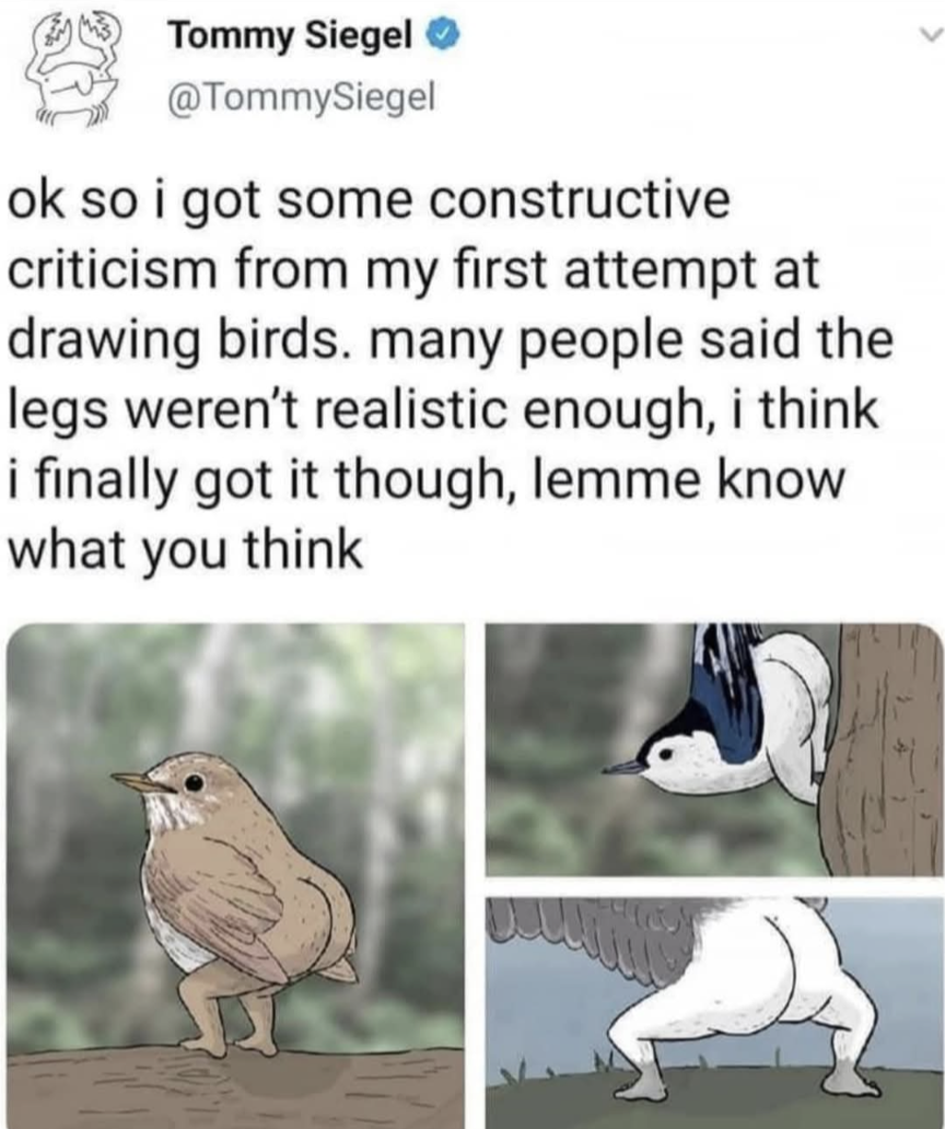 Thick Birb: When Ornithology Meets Leg Day