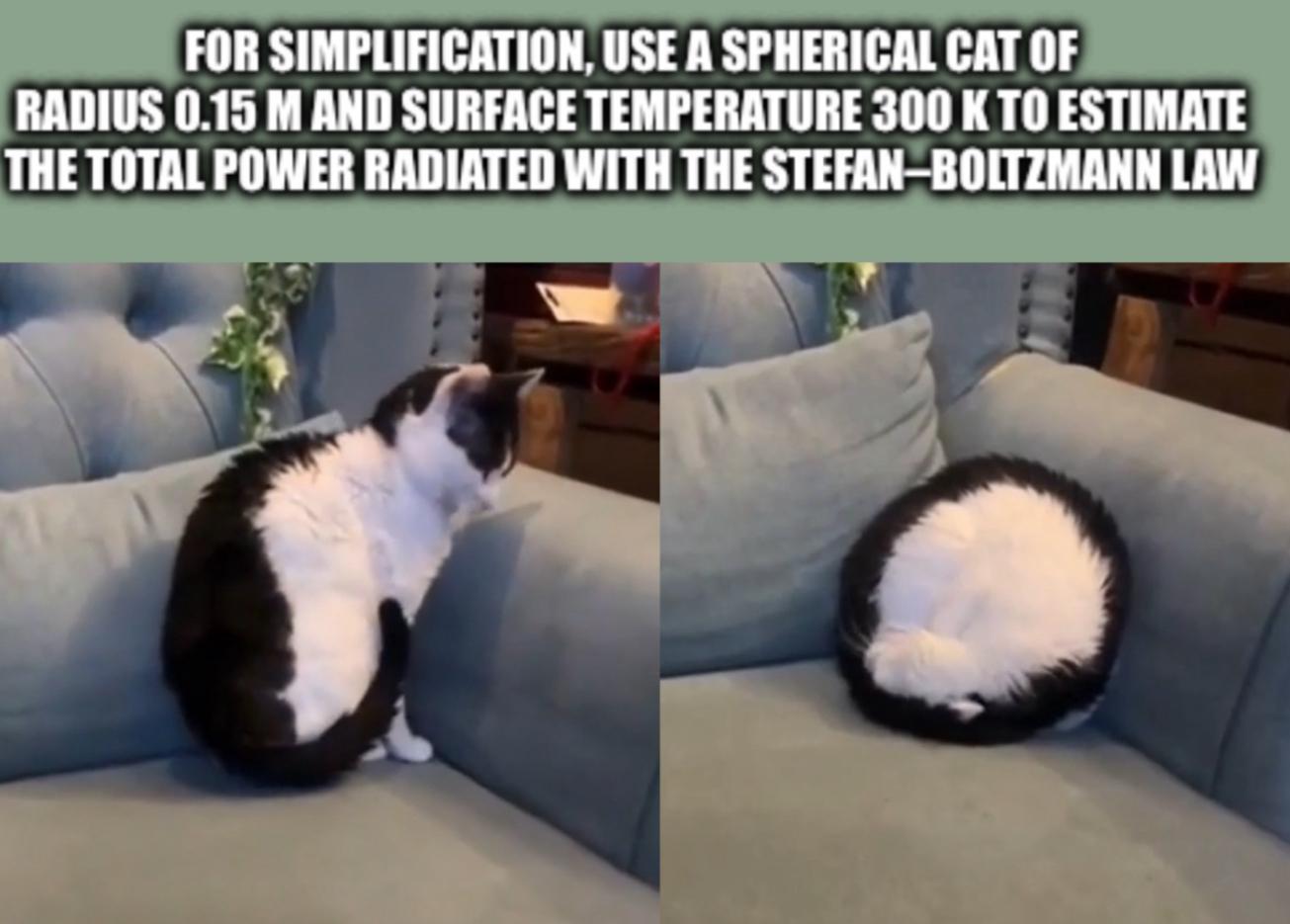 Assume Spherical Cat For Optimal Results