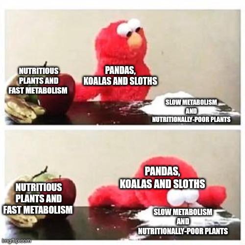Evolutionary Diet Dilemma