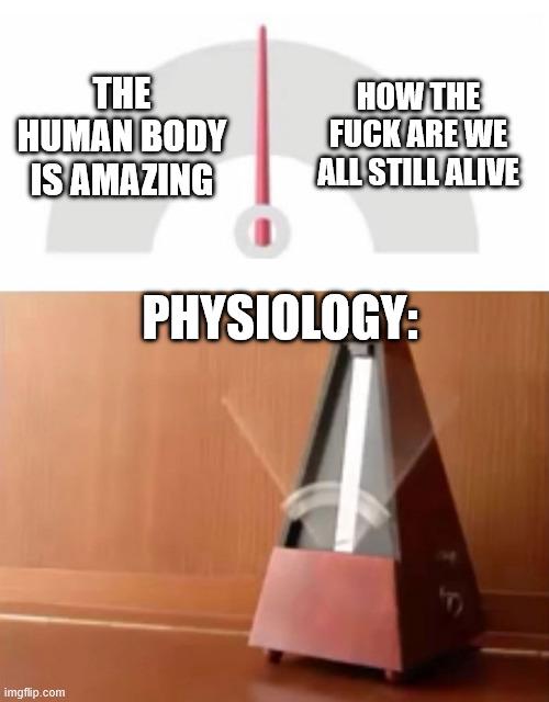 The Biological Metronome Of Survival