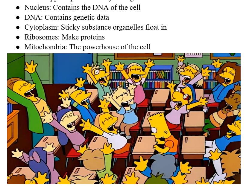 The Powerhouse Of The Classroom