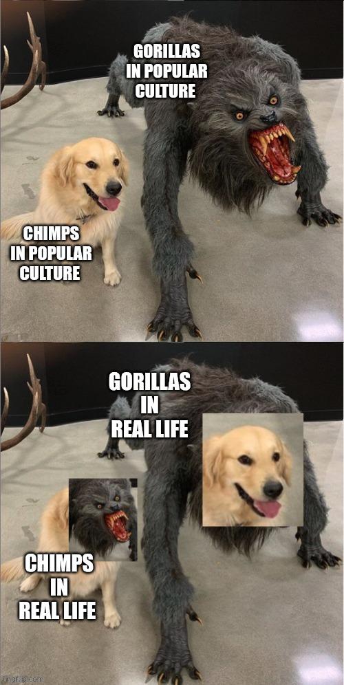 Primate PR: Hollywood vs Reality