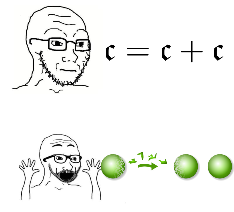 Axiom Of Choice Deniers Be Like
