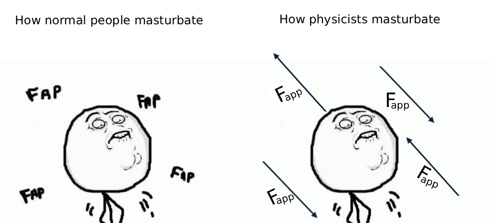 Forces Of Nature: The Physicist's Perspective