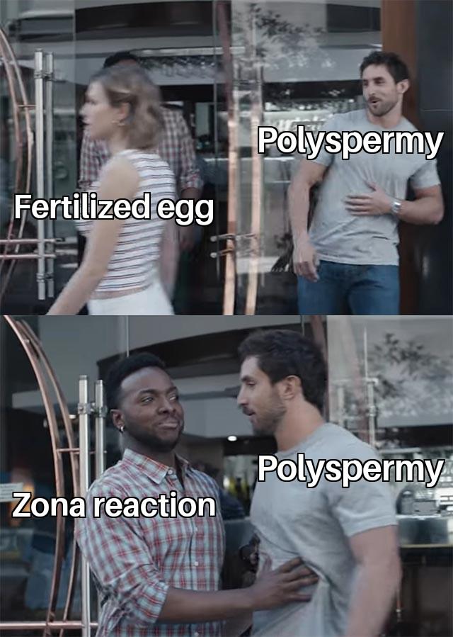 Preventive Mechanism: Nature's Reproductive Bouncer