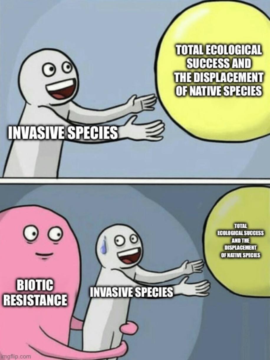Biotic Resistance: Nature's Bouncer
