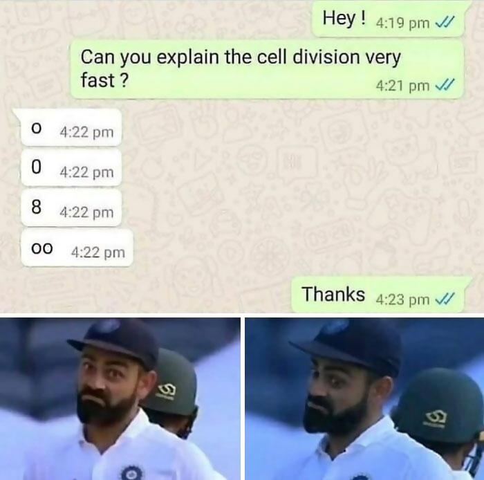 Mitosis Explained In Record Time