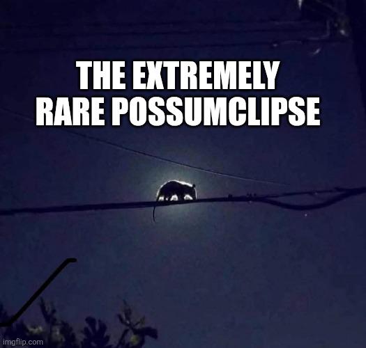 The Extremely Rare Possumclipse
