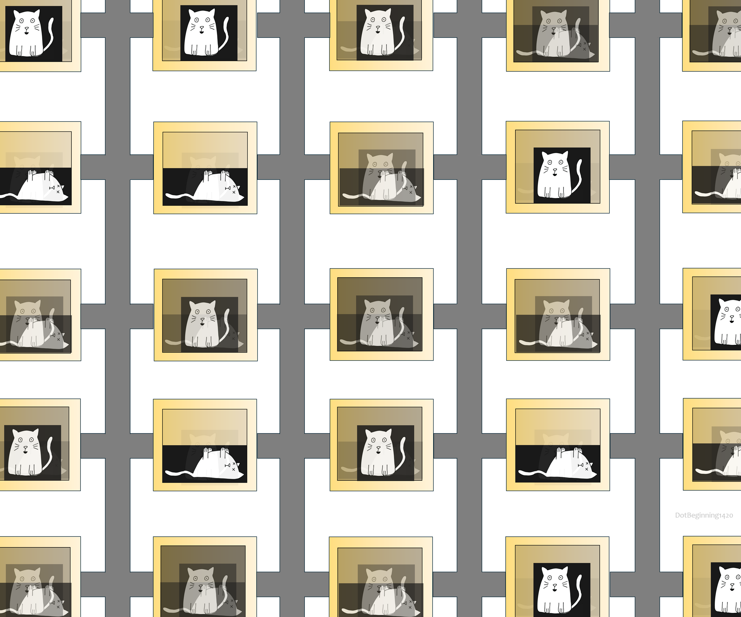 I Built A Quantum Computer Made From Schrödinger Cats