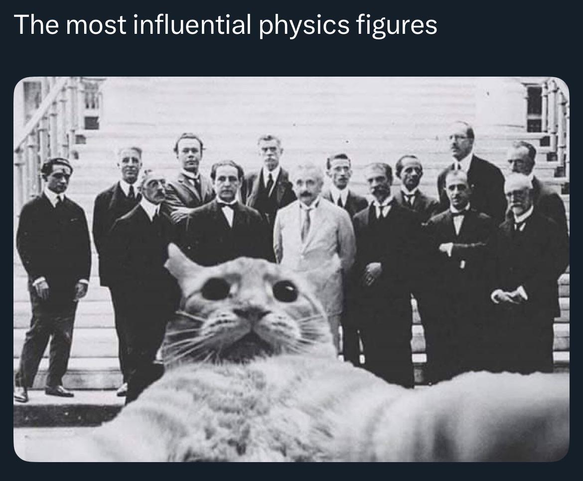 The Most Influential Physics Felines