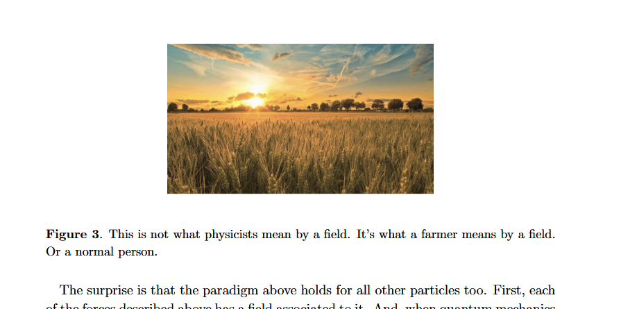 When Physicists Drop Truth Bombs In Lecture Notes