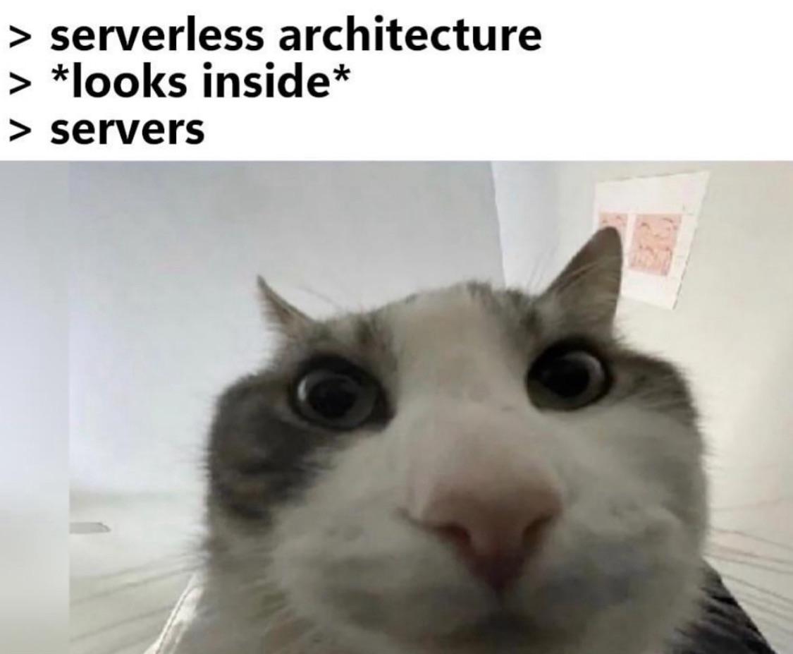 The Serverless Paradox