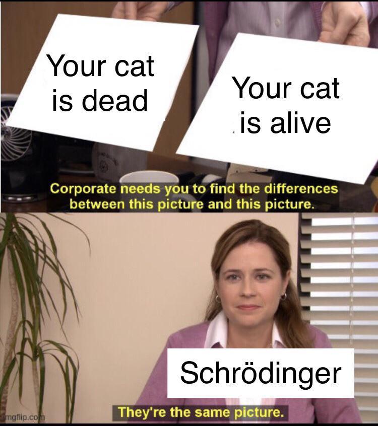 Schrödinger's Corporate Task
