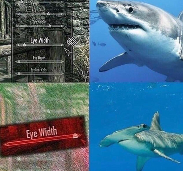 Hammerheads On The Character Creation Menu, Probably