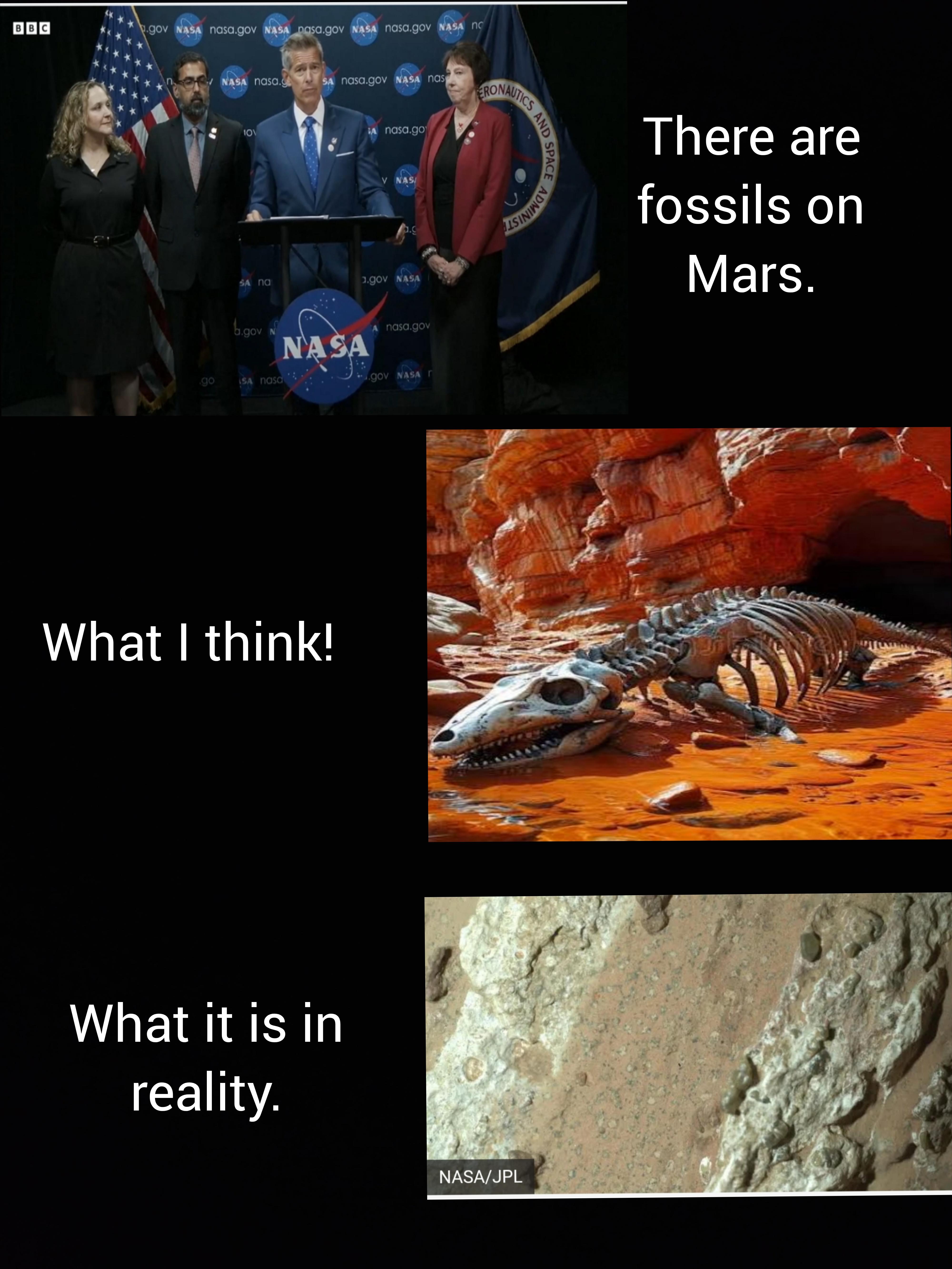 You Call That A Fossil?