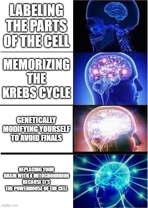 Mitochondria Is The Powerhouse Of Cell (And Your GPA)