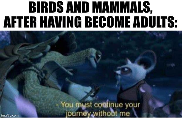 Nature's Brutal Empty Nest Policy