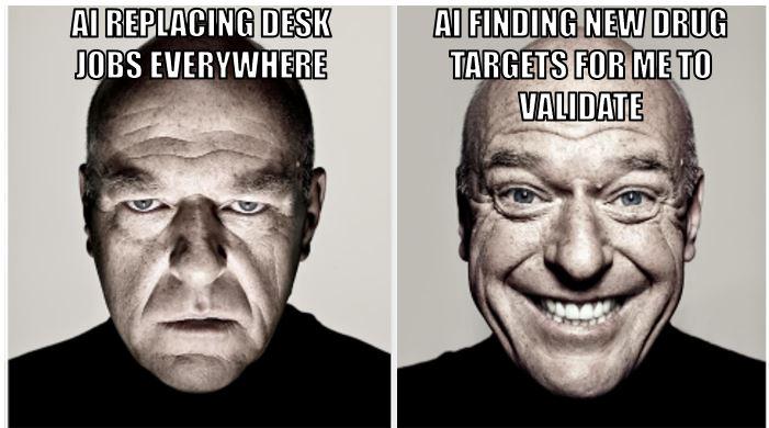 The Two Faces Of Scientific AI