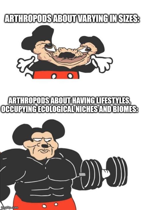 The Duality Of Arthropod Research