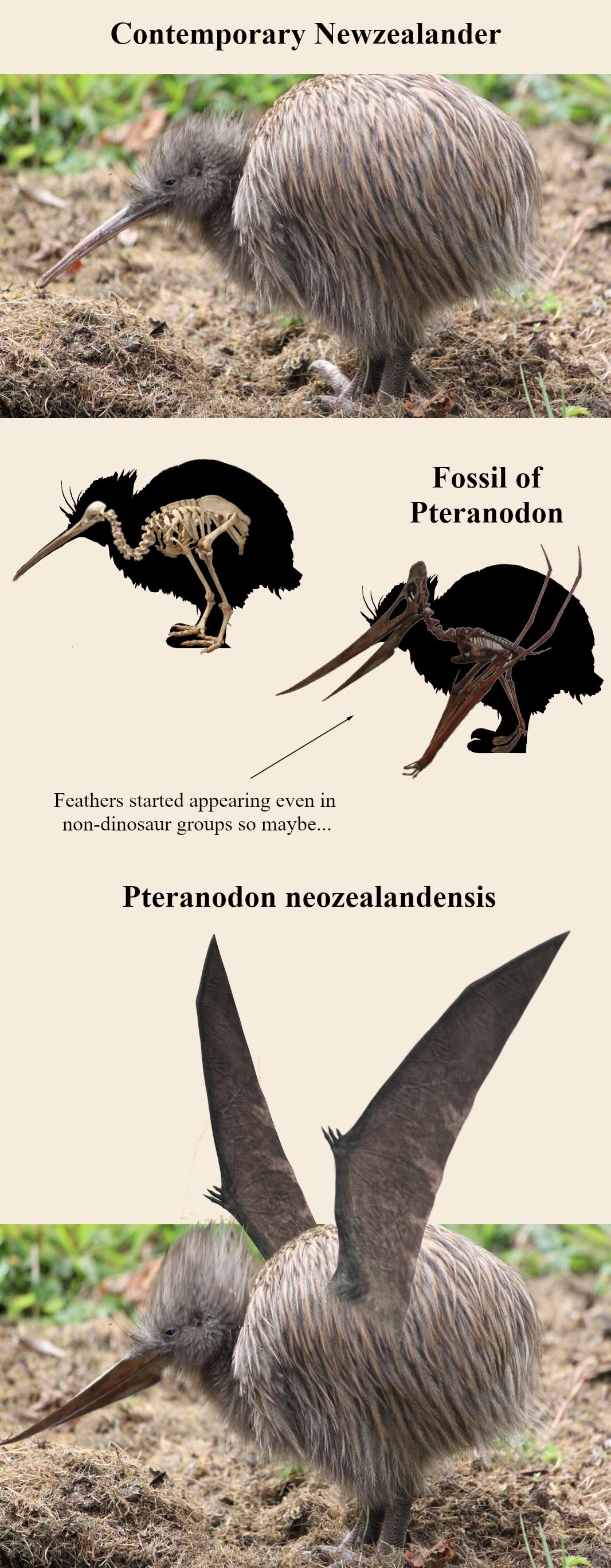 Different Kinds Of Kiwis: The Evolutionary Nightmare Edition