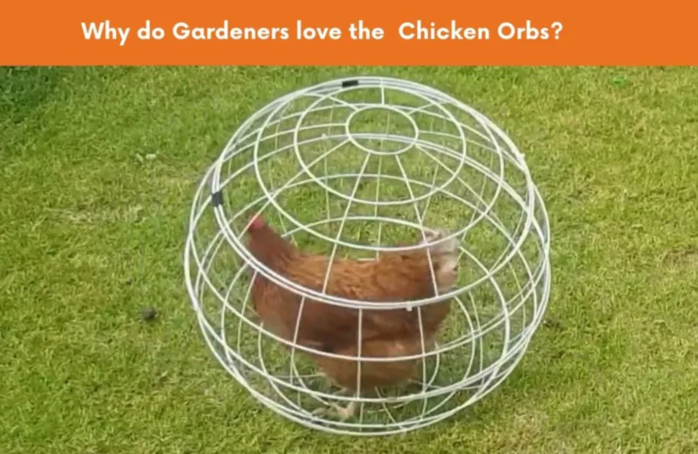 Spherical Chicken In A Vacuum