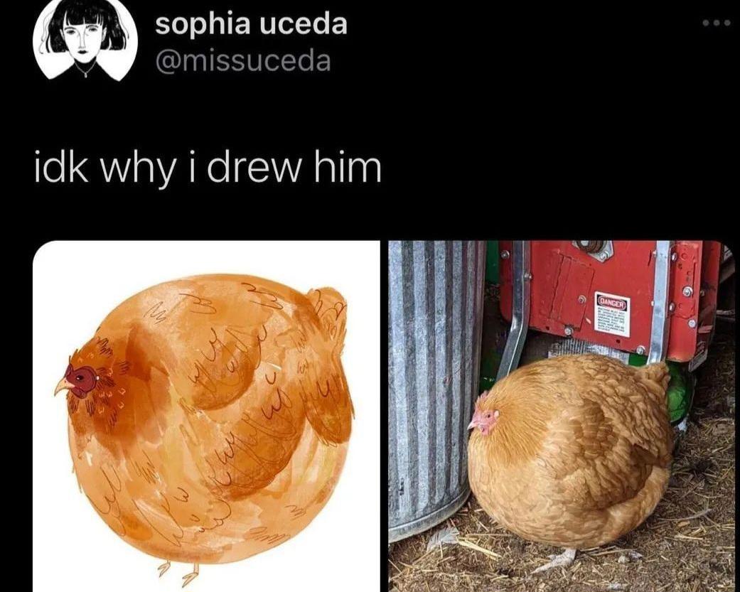 Assume Spherical Chicken