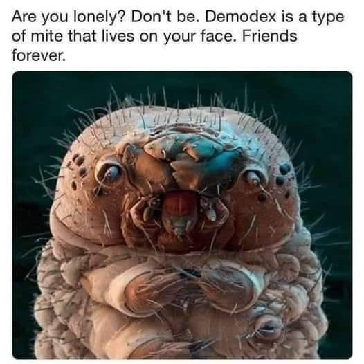 Your Face Is Never Alone