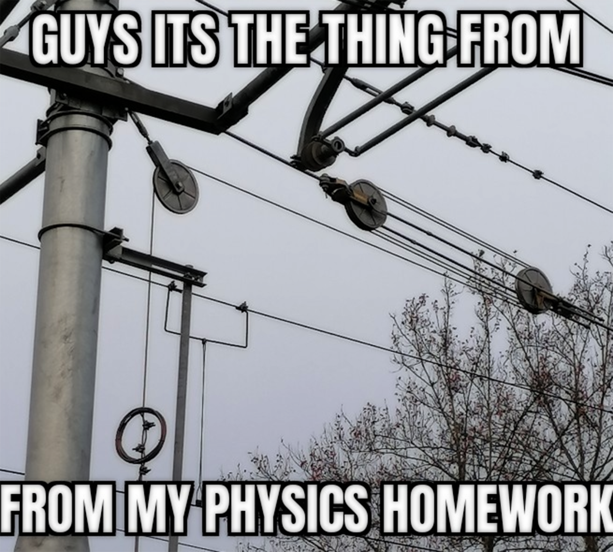 When Physics Homework Escapes The Textbook