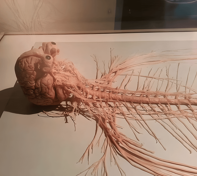 Does That Thing Really Live Inside Me, Or Am I That Thing?