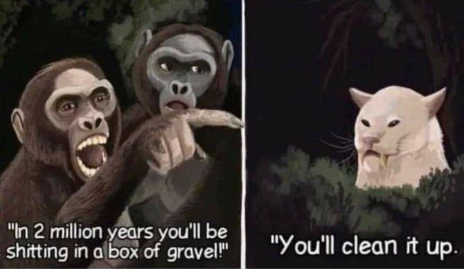 Evolutionary Trash Talk