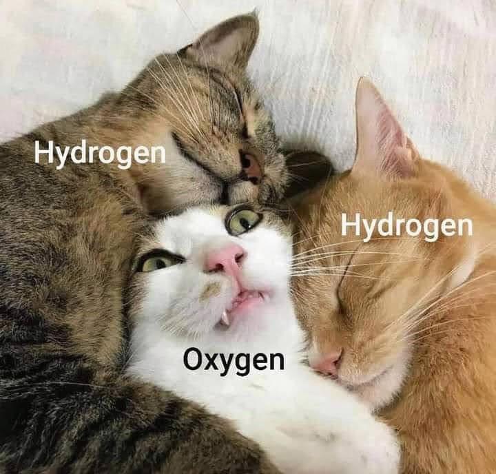 The Molecular Throuple Nobody Talks About