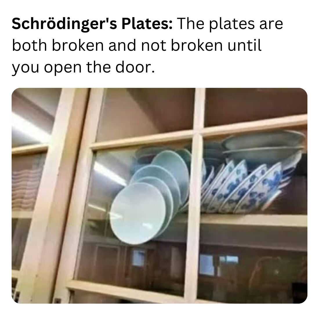 Schrödinger's Plates: Quantum Kitchenware