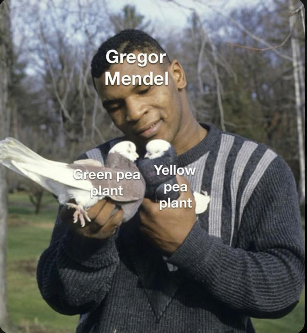 Mendel's Feathered Pea Plants