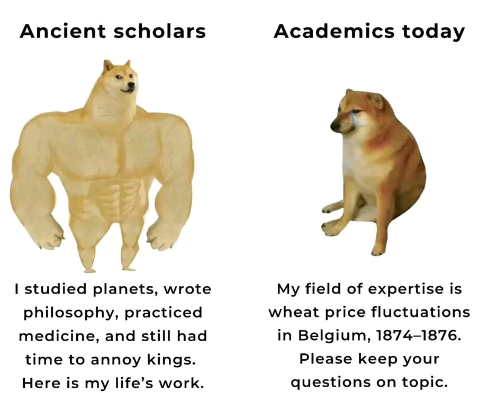 The Great Academic Shrinkage