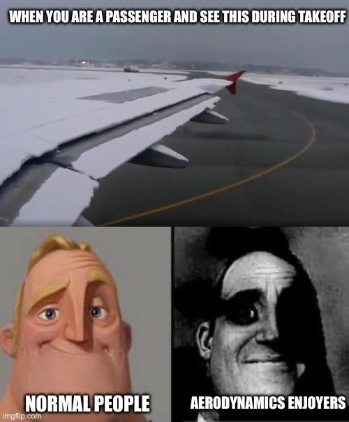 The Two Types Of Airplane Passengers